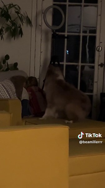 i think i am about to be murdered by my old american girl dolls i’m so serious please send advice i am scared and horrified #help #theyrealive