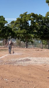 Marcadamente. | Spring Bike