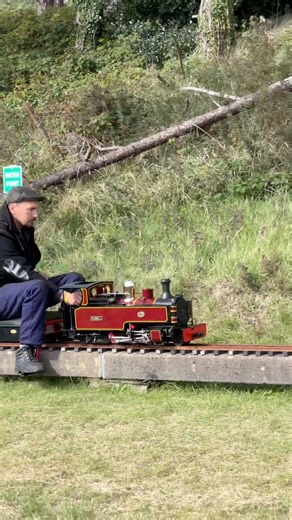 HEAR THE NOISE! MINIATURE STEAM ENGINE SOUNDS! 🔊 #MiniatureRailway