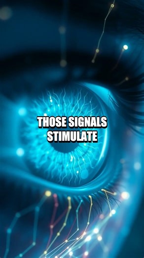 The Quiet Eye: How Retinal Implants Restored Sight