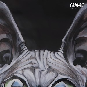 56K views · 845 reactions | Suffer from cat allergies but stil dream of owning a cat? The Sphynx cat is for you  | Canvas Arts | Facebook