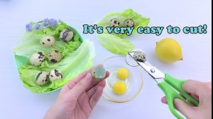 6Pcs Quail Egg Cutter Scissors Kitchen Egg Shears Tool (Green)