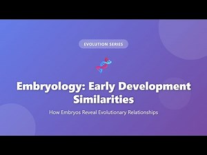 Embryology: How Embryos Reveal Evolution & Common Ancestry Explained