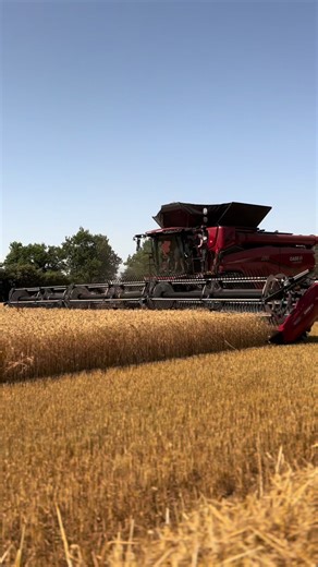 Démo AF10 🔴⚫️ #AF10#case#axial