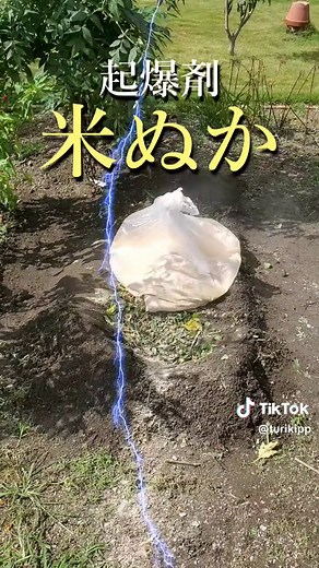 簡単！畑の野菜ゴミで土作り！分解途中で苗を植える