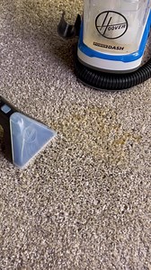 Hoover is your one-stop shop for all things cleaning and beyond. Give us a like so you don’t miss out on messy moments, tips and tricks and more! | Hoover Vacuums North America