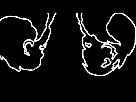 Cartoon Elements Liquid Smoke Lines Hand-Drawn Impact FX