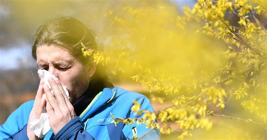 Allergy season is starting earlier and lasting longer. Pittsburgh doctors share their tips.