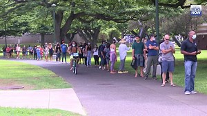 WATCH: Here's a look at the line of voters at Honolulu Hale around noon today. Voters said the line for in-person voting was moving pretty quickly. MORE: https://buff.ly/3kUEfjB #Campaign2020 #HNN | Hawaii News Now