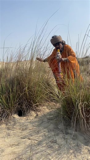 Shocking Encounter with a Snake During Wildlife Rescue