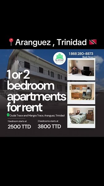 Alpine Real Estate on TikTok