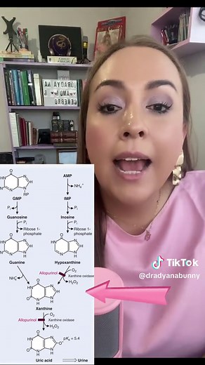 🧬Catabolismo de las Purinas: LA GOTA🧬 #gota #alopurinol #metabolismo #catabolismo #acidosnucleicos #nucleotidos #ugc #ugccreator