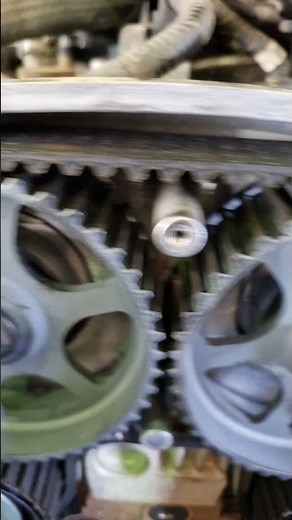 Timing belt replace MAXUS D60#automechanic