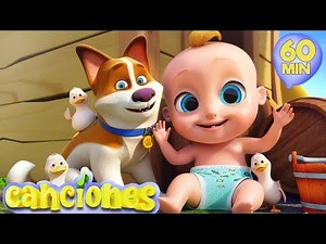 Canción de los animales - Compilado de las mejores Canciones Infantiles | LooLoo