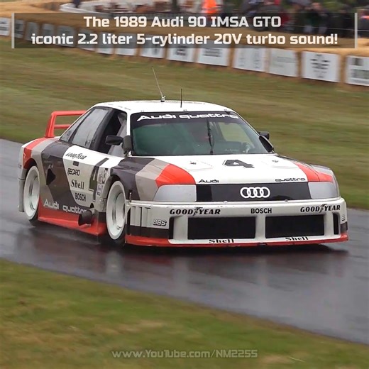 67K views · 2.2K reactions | The 1989 Audi 90 IMSA GTO is one of the most iconic Audi racecars ever made! | NM2255 | Facebook