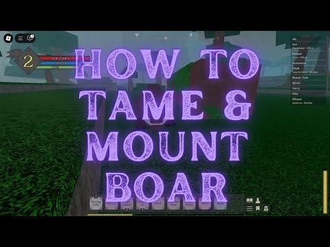 Roblox Rune Slayer Boar - How To Tame & Mount & Favorite Food Rune Slayer Boar Guide Roblox