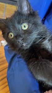 48 reactions · 6 comments | *** ALL REPLAYS AVAILABLE! You can now...