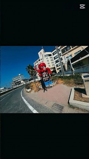 #愛知県南知多#知多 #日間賀島 #フェリー #高速船 #南知多 #船 #海鮮