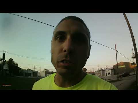 bauer 20v leaf blower in action