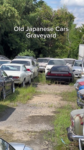 Exploring Abandoned Legendary JDM Cars