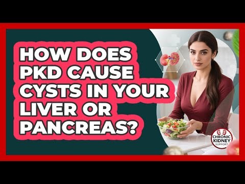 How Does PKD Cause Cysts In Your Liver Or Pancreas? - Chronic Kidney Support