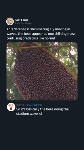 How bees defend themselves against predators 🐝
