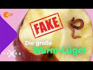 Wie der Wurm in den Apfel kommt | Terra X plus