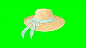 Summer Vacation Animation Green Screen Background Stock Footage Video (100% Royalty-free) 3451582707 | Shutterstock