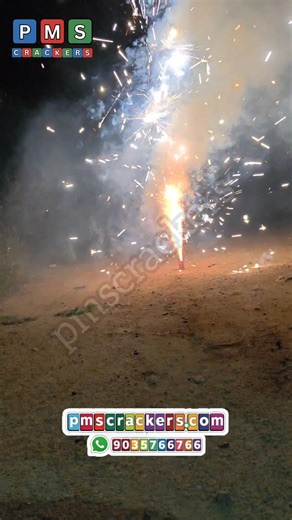 Dragon slay fountain 🔥 #sivakasicrackers #pmscrackers #shorts #trendingshorts #youtubeshorts