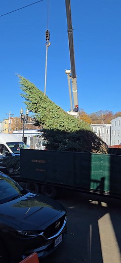 Orient Heights is getting into the holiday spirit! Parks and Recreation installing the Christmas tree 🎄 | East Boston Holiday Lighting