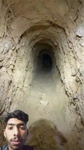 I mounted a camera on a kangaoo#shortvideo #trendingshorts