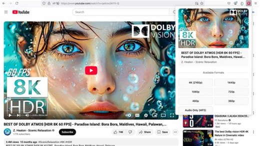 YouTube Downloader – 🦊 Firefox (ja) 向け拡張機能を入手