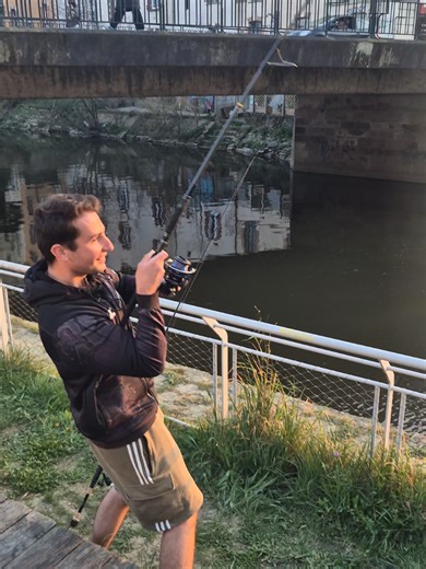 Gros silure en plein centre ville