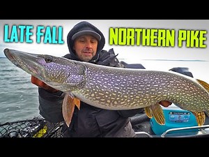 Casting Lures And Live Bait Fall Pike Fishing