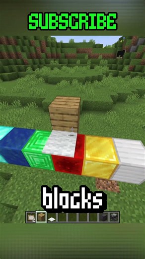 Minecraft's Weirdest Block State