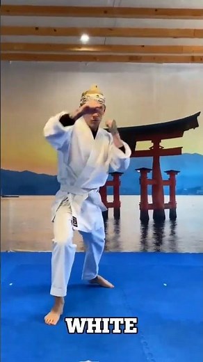 Belt ranking, karate belts, grading system #belt #youthforce #ranking #grading #koreankarate #best
