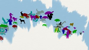 Evolution Continues | NOVA Labs