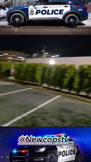 The Tiger is not afraid of the police #police #policeofficer #cops