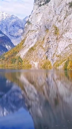 Exploring Nature in Germany: The Pagan Rune Algiz