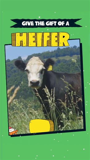 Go to Heifer.org to shop our catalog today and find a gift unlike any other! 🐮❤️ | Heifer International