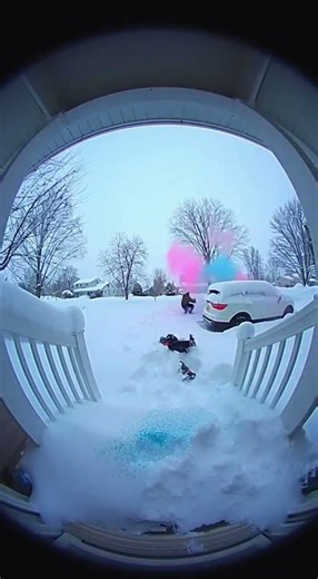 he vanished in the snow (caught on ring camera)