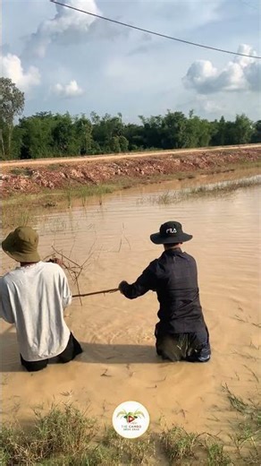 #ep79 #farmers #automobile #lifeisbutadream #agriculture #shortvideo #cropcultivation #fishing