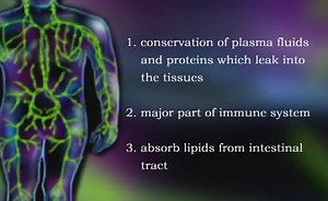 Sorry, we have encountered a problem. - Alexander Street, a ProQuest Company