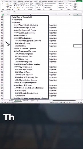 Clean chart of Accounts 🤩#accounting #finance #cfo #cpa