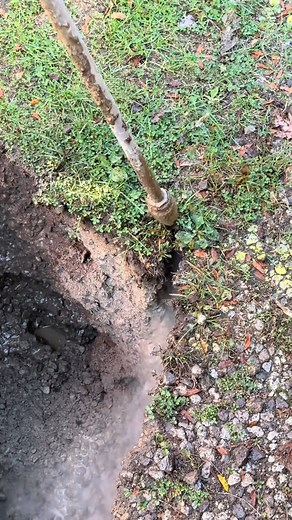 18K views · 42 reactions | Satisfying Dig襤 #asmr #hydrovac #bluecollar #working #relaxing | Satisfying Videos | Facebook