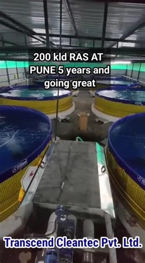 200 KLD RAS System | 5 Years of Smooth Operation | Pune STP Project | Transcend Cleantec