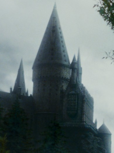 getting older is just realising that the whomping willow is actually the real villain #harrypotter #prisonerofazkaban #whompingwillow #harrypottertok #fyp
