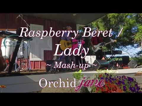 Raspberry Beret / Lady - Mashup - Acoustic Cover