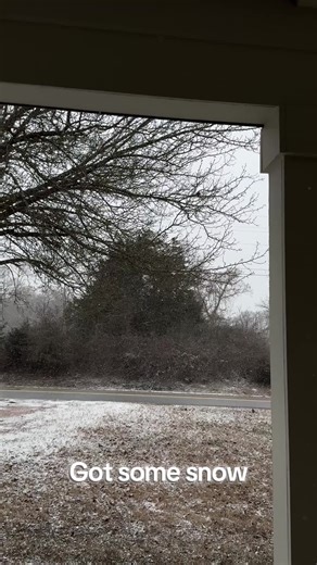 Got snow here. Had sets of cardinal mates hanging out at the tree trunks blocking the wind. Leila was pitching a fit because she wanted me to chase her around the yard while it was snowing. I get it…but it’s to cold. lol #dutchshepherd #snow #cardinals #cold #zoomies