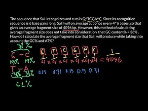 How to Calculate Restriction Enzyme's Average Fragment Size